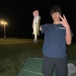 Gavin Brandes - @gavinbrandes - Instagram