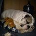 Gavin Britton - Facebook