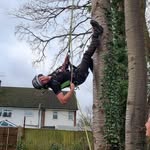 Gavin Brownlee - @treemangav - Instagram