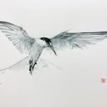 @gavin.brownlie.1 - Instagram