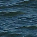 Gavin Bryant - @gavin.bryant - Instagram