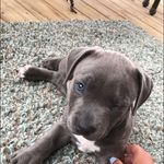 Gavin Burke - @gavinburke512 - Instagram