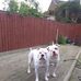Gavin Burke - Facebook