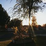 Gavin Burton - @gavin.burton_17 - Instagram