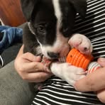 Gavin Bushnell - Facebook