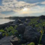 Gavin Byrd - Facebook