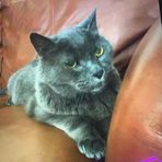 Gavin Byrd - Facebook