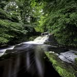 Gavin Byrne - @redriver2012 - Instagram
