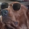 Gavin - @gavinbyrne123 - TikTok