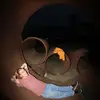 gavincain11 - @gavincain11 - TikTok