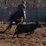 Gavin Callahan - @gavincole2055 - Instagram
