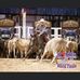 Gavin Callahan - Facebook