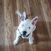Gavin Callahan - Facebook