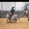 gavincallahan12 - @gavincallahan12 - TikTok