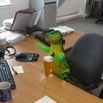 Gavin Carney - @carneygavin - Instagram