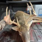 Gavin Carney - @gavin_carney_ - Instagram