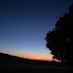 Gavin Carpenter - @gavincarpenter21 - Instagram