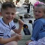 Gavin Carpenter - @gavincarpenter6675 - Instagram