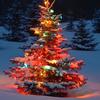 Gavin Casey - @christmas.spirit_.0 - TikTok