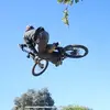 pimpin - @gavincastro - TikTok