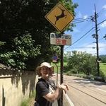 Gavinus Caulfield - @gavinuscaulfield - Instagram