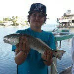 gavin chamberlain - @gavinchamberlain - Instagram