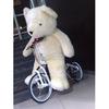 Gavin Chang - @gavin.chang65 - TikTok