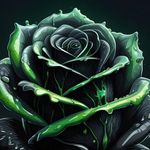 Gavin Chappell - @gavinchappell3 - Instagram