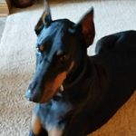 Gavin chappell - @chappellgavin1 - Instagram