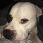 Gavin Cherryholmes - @gavin_cherry7069 - Instagram