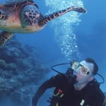 Gavin Clements - @gavin_clements45 - Instagram