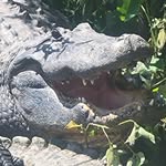 Gavin B Cloutier - @gavin_cloutier172 - Instagram