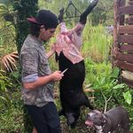Gavin Cobb - @gavin_cobb01 - Instagram