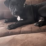 Gavin Coffey - @gavin.coffey2 - Instagram