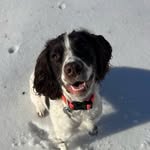 Gavin - @gavin_comer02 - Instagram