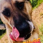 Gavin Lee Conway - @gavin_conway_ - Instagram