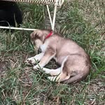Gavin cooley - @gavincooley72 - Instagram