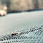 Gavin Cooley - @gavincooley572 - Instagram