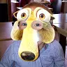 Gavin Cornelius - @gavincornelius1 - TikTok