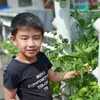 Gavin Cornelius tjhai - @gavin.cornelius.t - TikTok