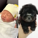 가빈 & 우디 💛 - @gavi_n_cotton - Instagram