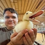 Gavin Cummings - Facebook