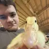 Gavin Cummings - @wall.drinker_156 - TikTok