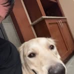 Gavin Cummings - Facebook