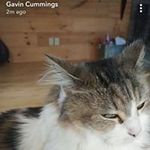 Gavin Cummings - @gavin.cummings_soviet_russia - Instagram