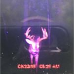 Gavin Curry - @gavin_curry06 - Instagram
