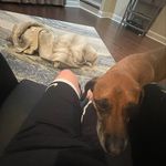 Gavin Curry - @gavin_curry9 - Instagram