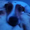 Gavin Cutler - @gavin.cutler2010 - TikTok