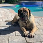 Gavin Cyr - @gavin21109 - Instagram