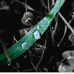 Gavin Dahl - @hurt_soul555 - Instagram